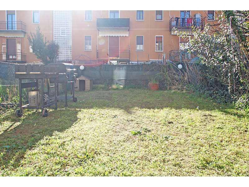 Un'immagine che ritrae erba, piante, zona residenziale, giardino e prato.